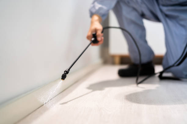 Bed Bug Pre-Treatment Preparation Assessment in Leipsic
