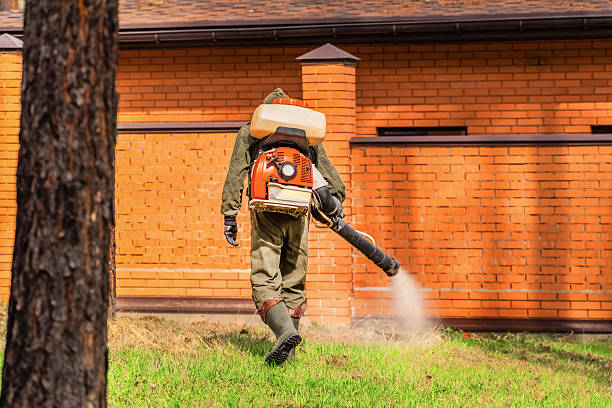 Bed Bug Clearance Verification and Documentation in Leipsic